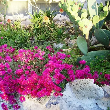 德赫里赫希酒店 4*